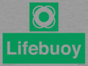lifebuoy-with-symbol~